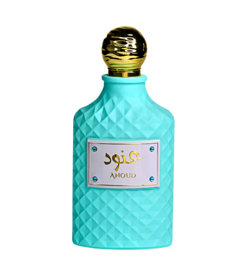 ANOUD EDP 100ML